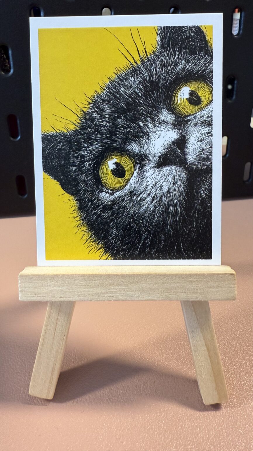 Curious Cat Original ACEO Artist Card