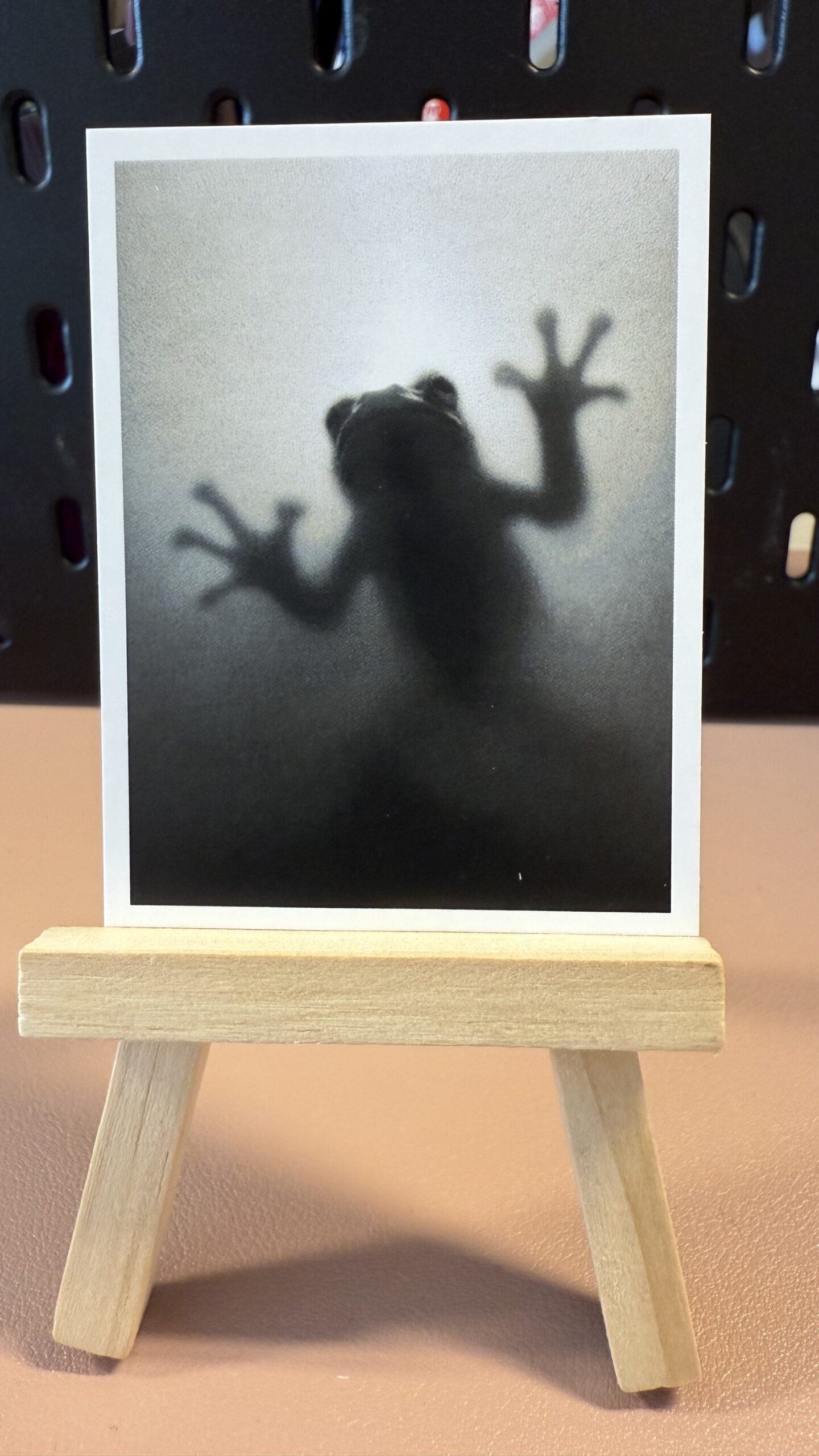 Frog on the Other Side ACEO
