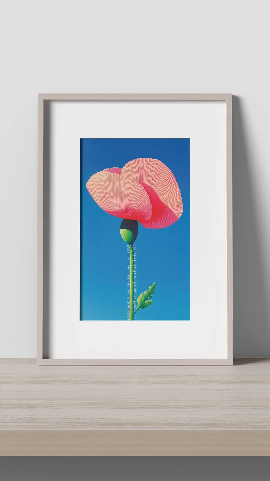 Pink Poppy - Image 2