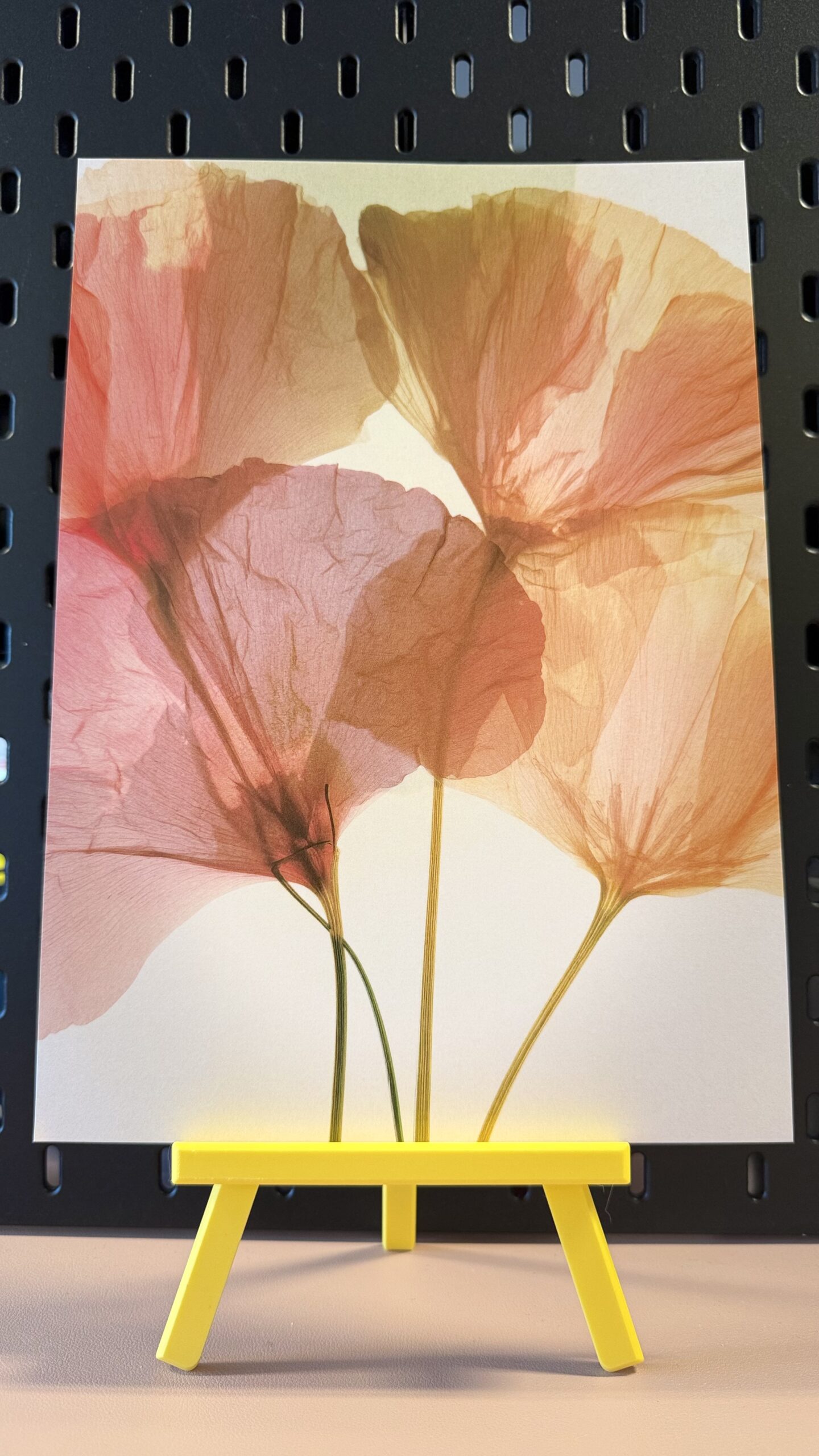 Petal Light